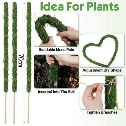 Natural Handmade Growth-Enhancing Moss Stick for Indoor Plants