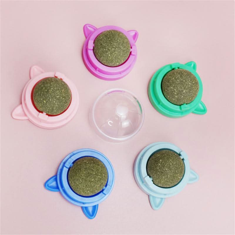 Catnip Toy for Cats – Rotating Ball & Mint for Dental Health