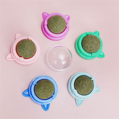 Catnip Toy for Cats – Rotating Ball & Mint for Dental Health