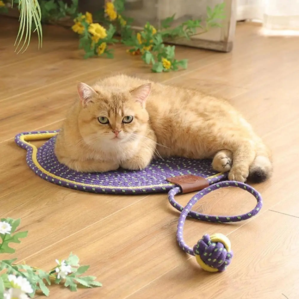 Dual-Function Cat Scratching Pad & Play Surface