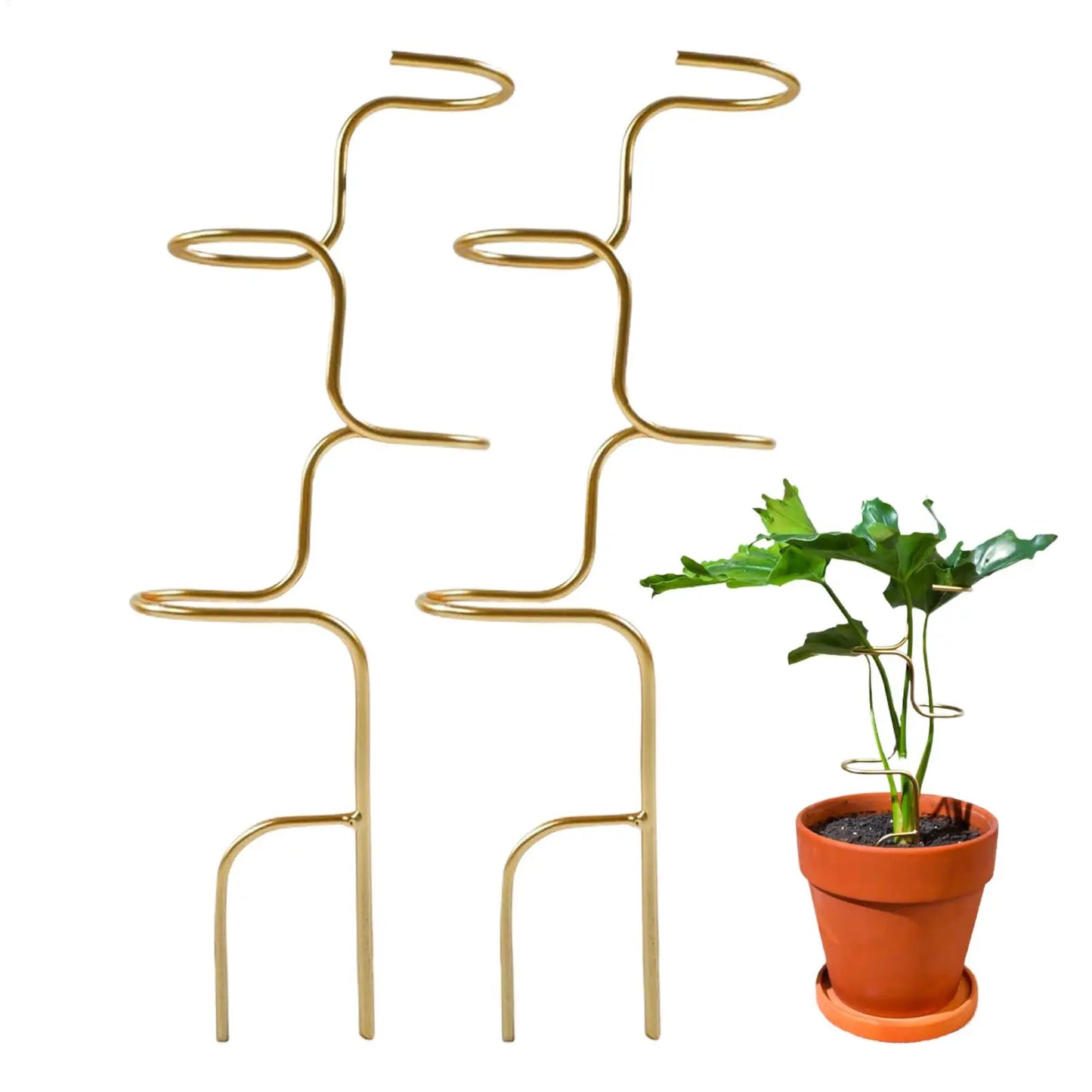 Monstera Climbing Support with Metal Leaf Design | 32 cm