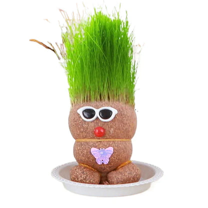 Lively Indoor Grass Buddy for a Fresh Home Atmosphere