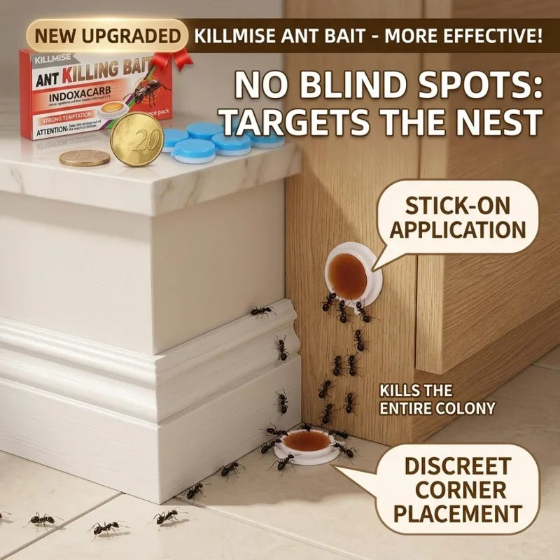 Effective Ant Control Solution for Home and Garden