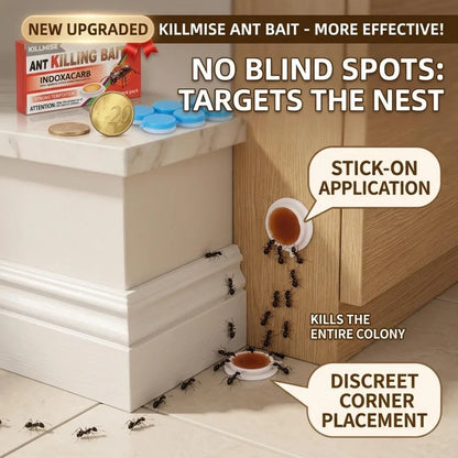 Effective Ant Control Solution for Home and Garden