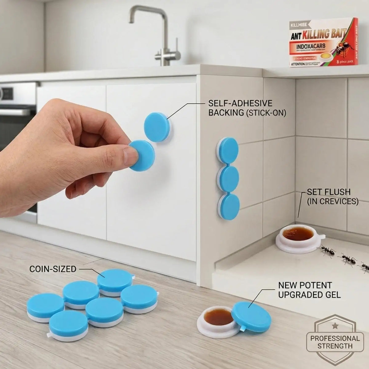 Effective Ant Control Solution for Home and Garden