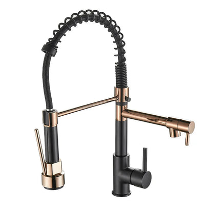 Kitchen Faucet with Dual Outlet – Dualflow Design