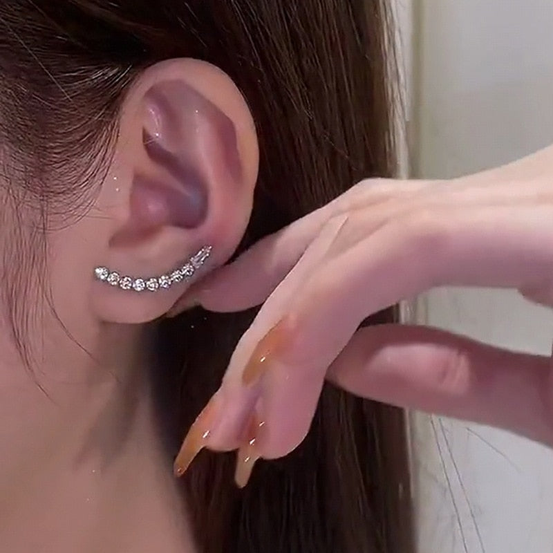 Elegant 2-in-1 Crystal Drop Earrings