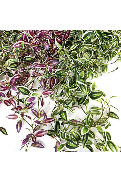Bamboo Leaf Herbal Infusion