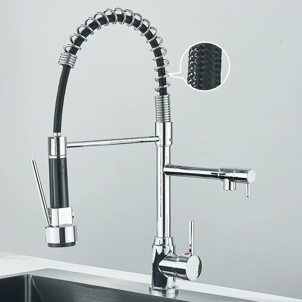 Kitchen Faucet with Dual Outlet