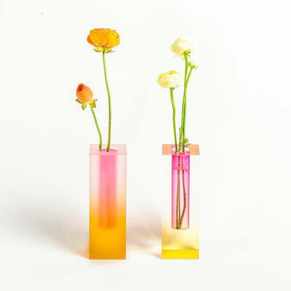 Colorful Indoor Plant Pot Set
