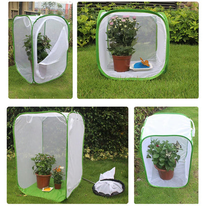 Foldable Insect Habitat | Ventilated Net Enclosure for Butterflies & Bugs