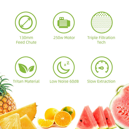 Slow Masticating Juicer with Wide Chute, Quiet Motor & Easy Clean Plug