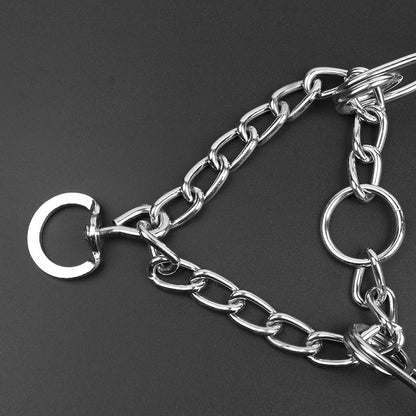Stylish Dog Pincher Collar - Size B