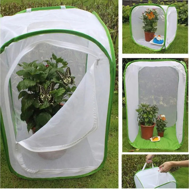 Foldable Insect Habitat | Ventilated Net Enclosure for Butterflies & Bugs