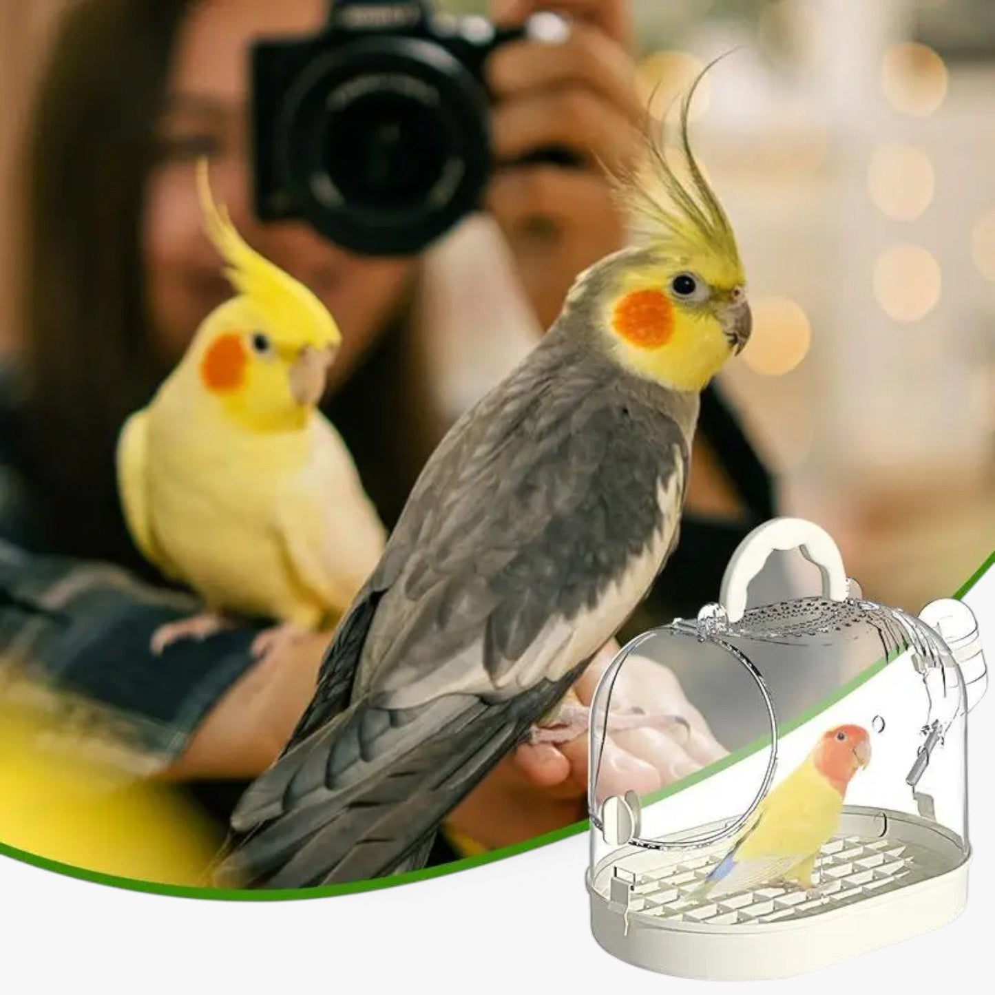 Lightweight Pet Carry Cage for Small Animals and Birds