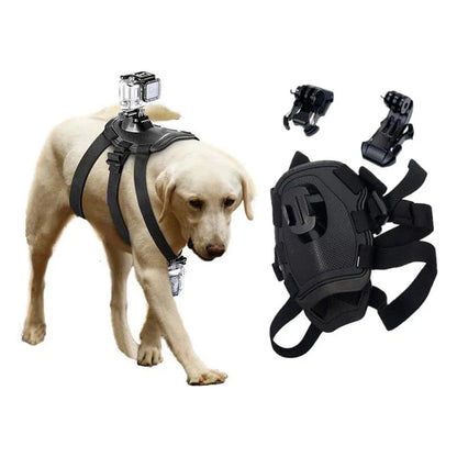 360° View Dog Harness for Adventurous Pups