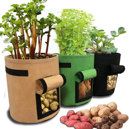 Versatile Garden Grow Bag with Viewing Window | Ideal for Vegetables & Herbs | Breathable with Carry Handles