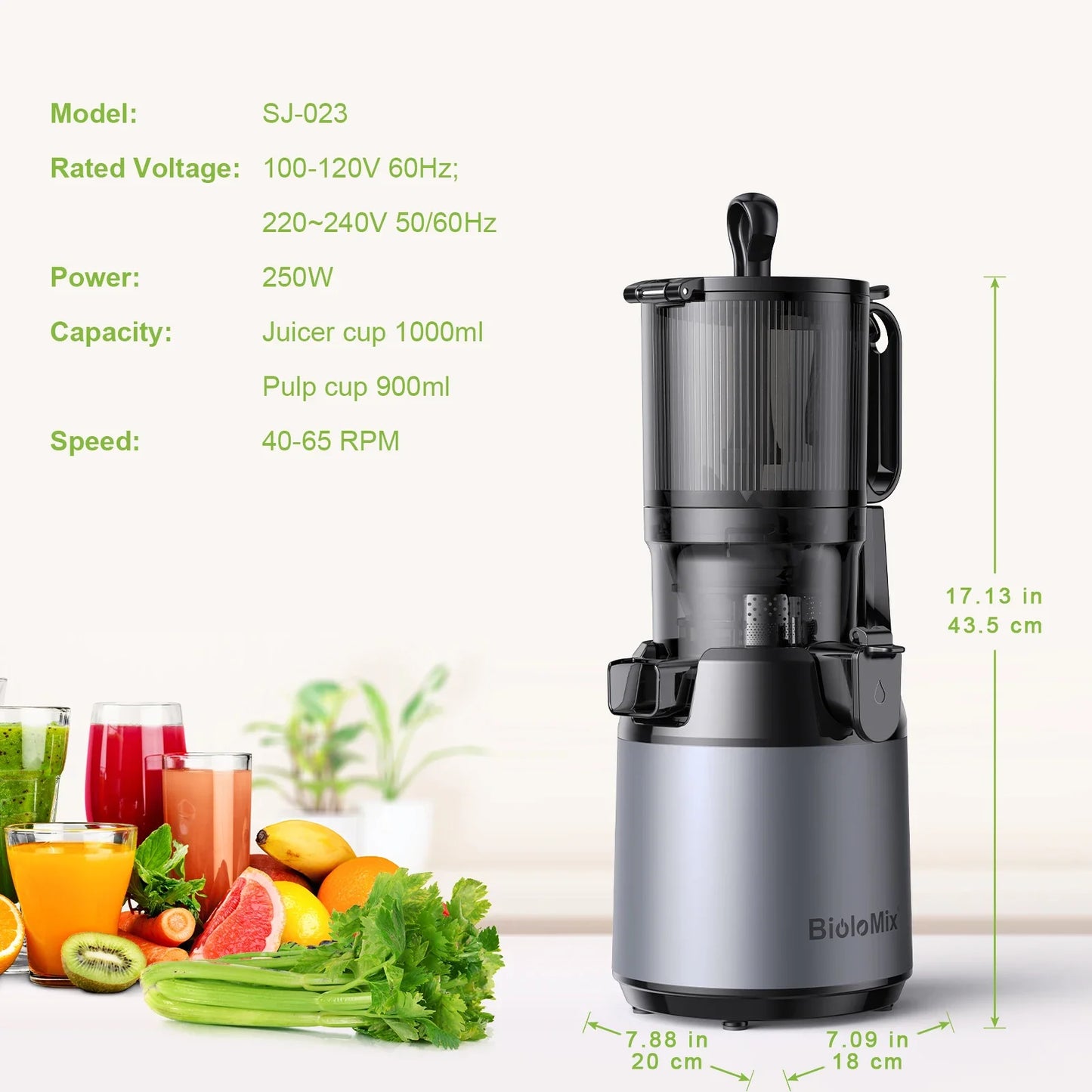 Slow Masticating Juicer with Wide Chute, Quiet Motor & Easy Clean Plug