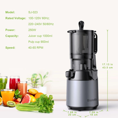 Slow Masticating Juicer with Wide Chute, Quiet Motor & Easy Clean Plug
