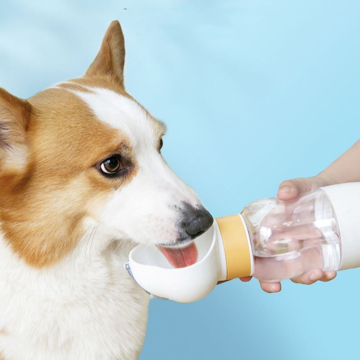 Portable 2-in-1 Water Bottle and Feeder for Pets