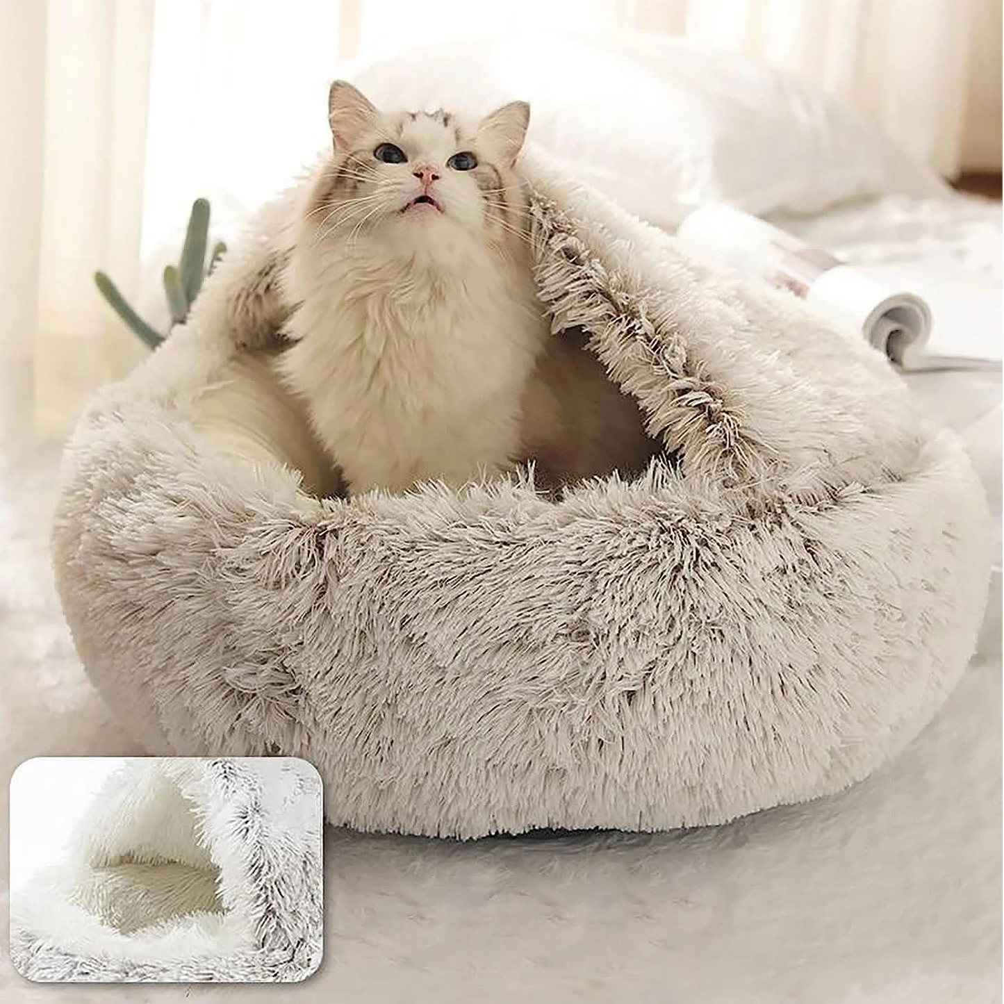 Dog Beds for Relaxing Sleep and Comfort