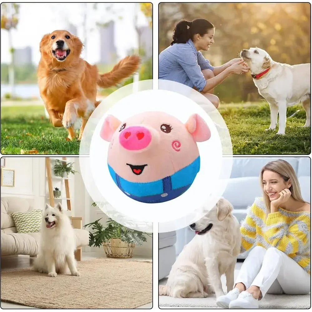 Dynamic Interactive Pet Play Ball for Endless Fun
