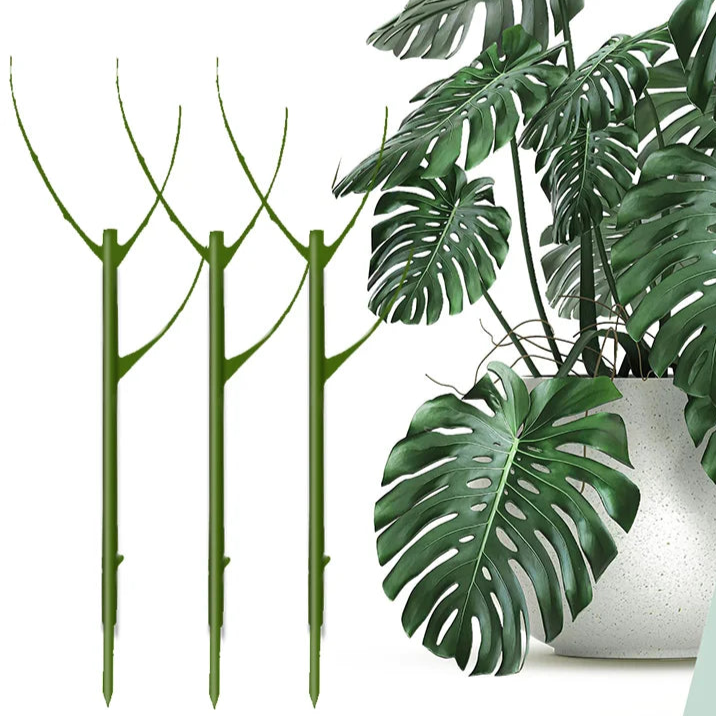 Stackable Natural Plant Supports for Indoor & Outdoor Use - Set of 3