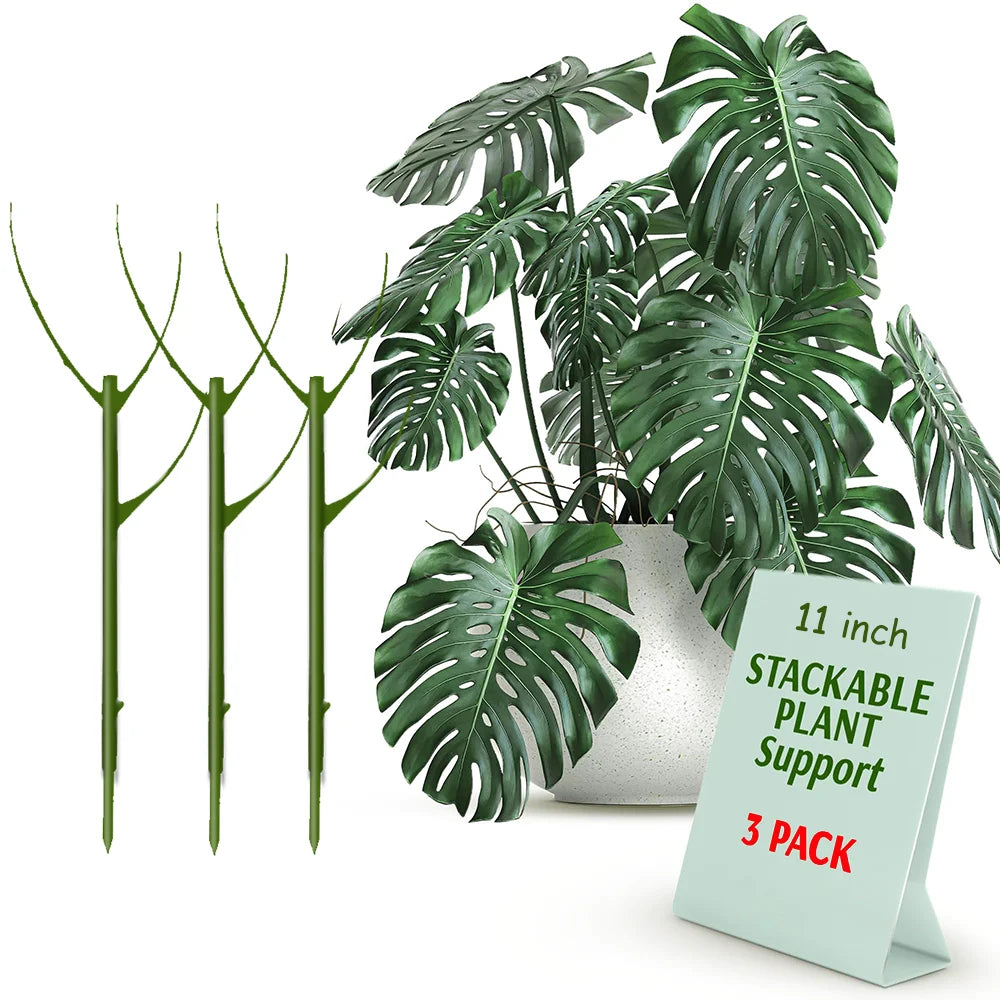 Stackable Natural Plant Supports for Indoor & Outdoor Use - Set of 3