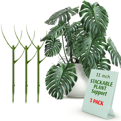 Stackable Natural Plant Supports for Indoor & Outdoor Use - Set of 3