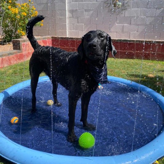 Splash Pad for Pets - Paws and Play Water Fun