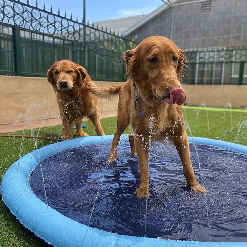 Splash Pad for Pets - Paws and Play Water Fun