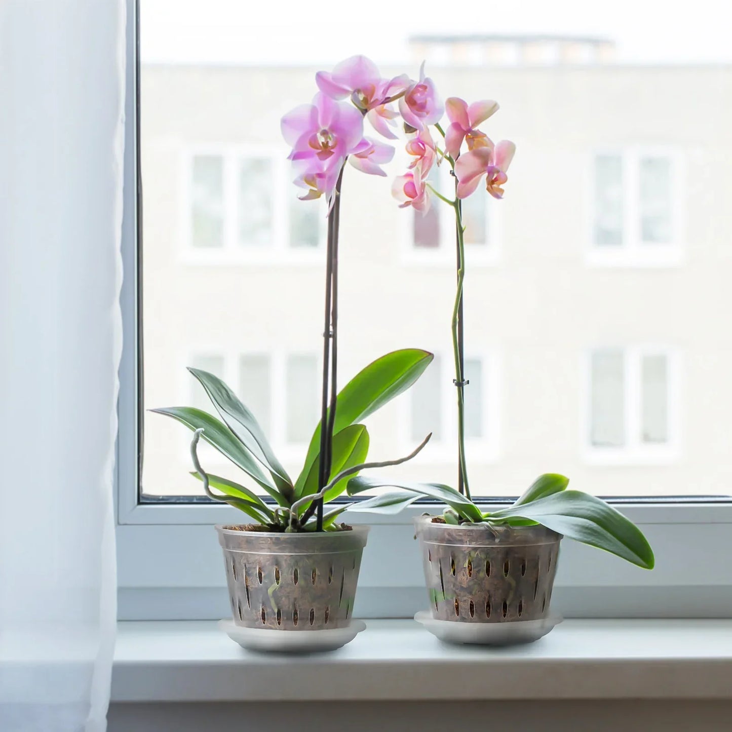Set of 5 Transparent Orchid Flower Pots - Durable with Drainage Holes for Healthy Growth