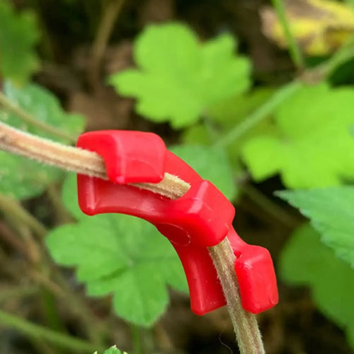 Plant Clips for Low-Stress Training | Reusable for Better Growth of Shoots & Herbs
