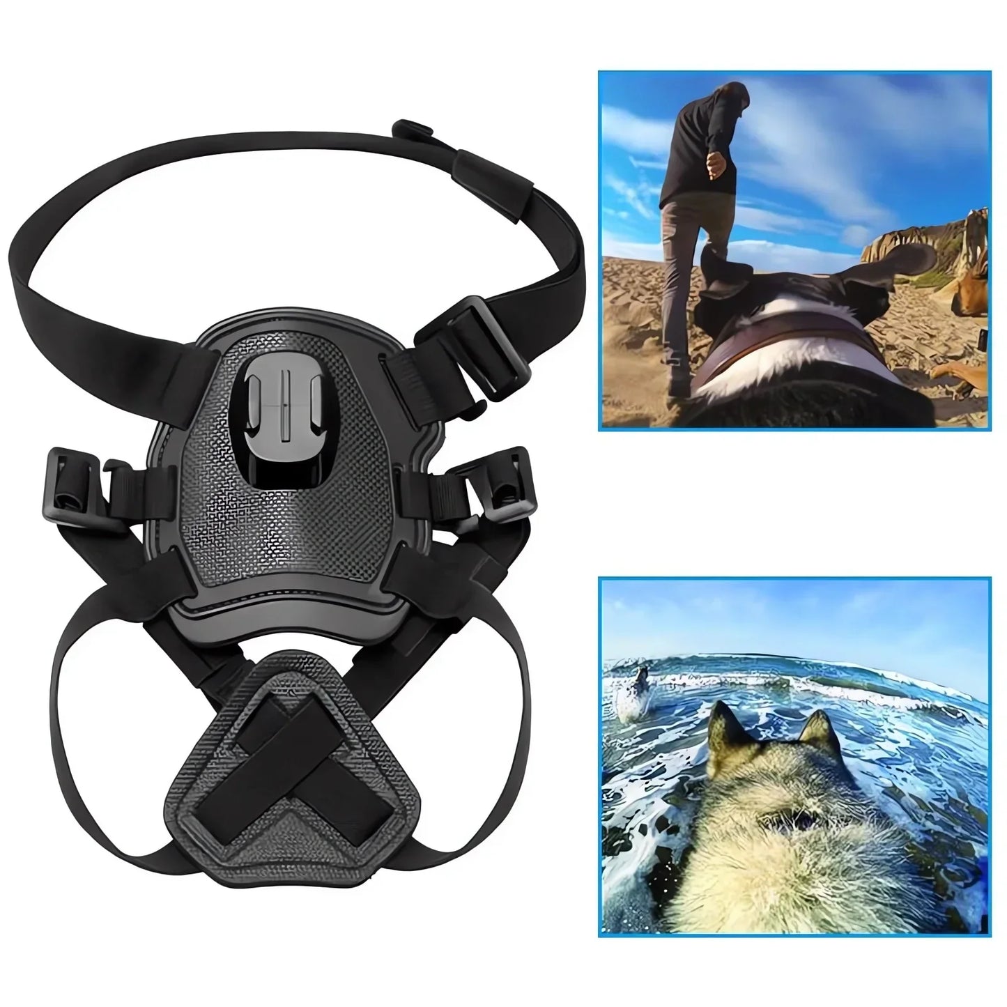 360° View Dog Harness for Adventurous Pups