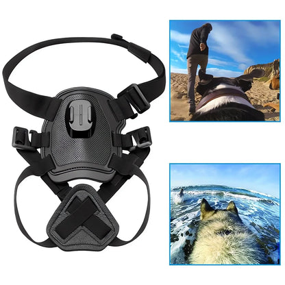 360° View Dog Harness for Adventurous Pups