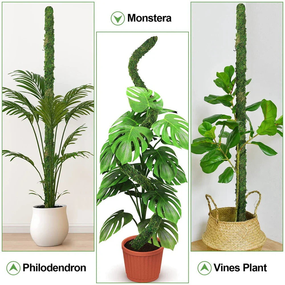 Natural Handmade Growth-Enhancing Moss Stick for Indoor Plants