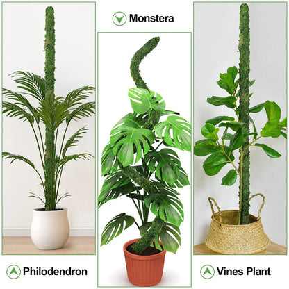 Natural Handmade Growth-Enhancing Moss Stick for Indoor Plants