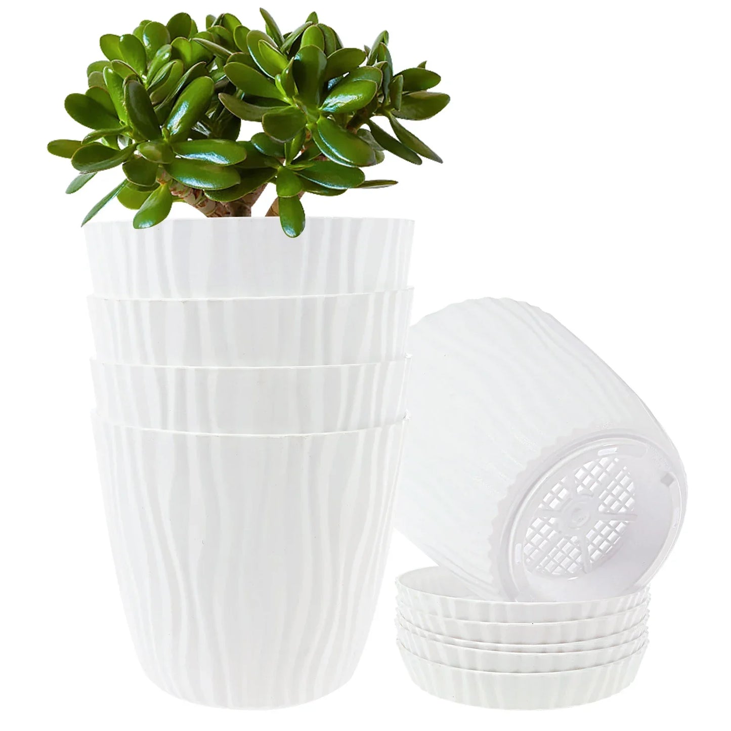 Set of 5 Planters with Drainage Holes and Saucers | Textured PP, 14.5 cm for Indoor and Outdoor Use
