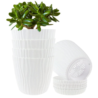Set of 5 Planters with Drainage Holes and Saucers | Textured PP, 14.5 cm for Indoor and Outdoor Use