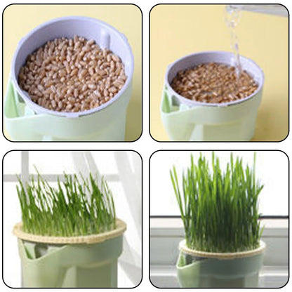 Cat Grass Cup | Soil-Free | BPA-Free & Reusable | For Sprouts & Wheatgrass