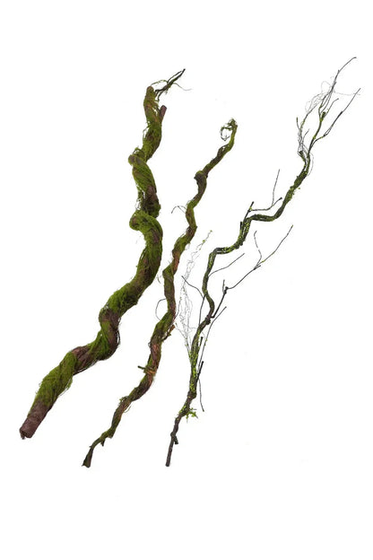 Faux Greenery | Decorative Artificial Plants
