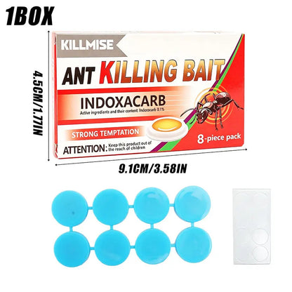 Effective Ant Control Solution for Home and Garden