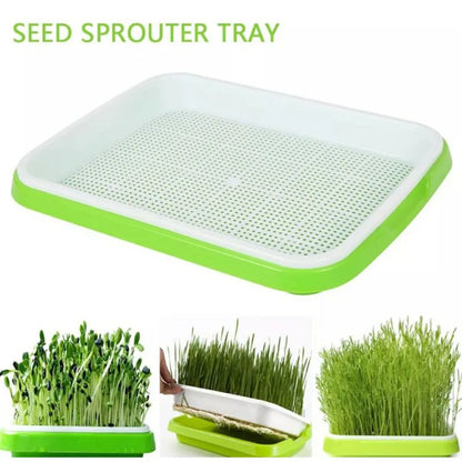 Seed Sprouting Tray – 2-Tier System for Microgreens & Sprouts – BPA-Free Plastic