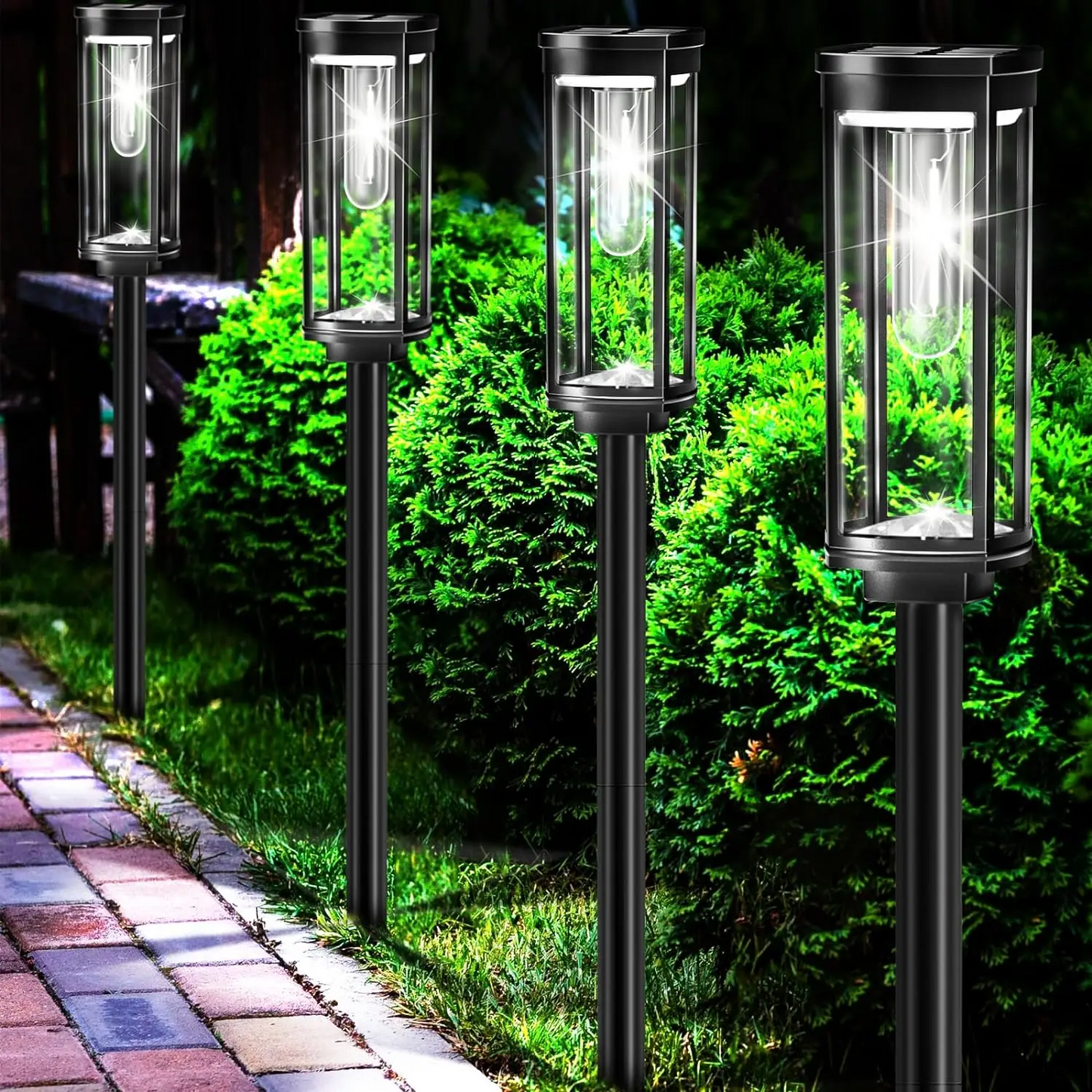 Get 2 Extra Free | Eco-Friendly Solar Outdoor Lighting for Your Garden