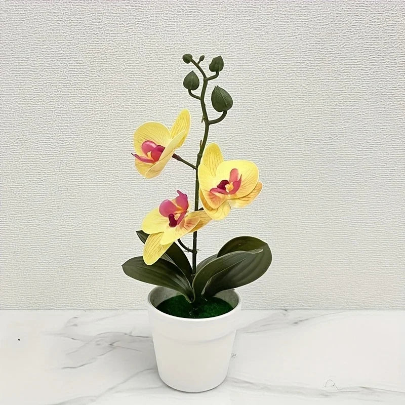 Artificial Orchid Bonsai | Realistic Flowers | Light-Resistant Table Decor for Living Room, Office & Entryway
