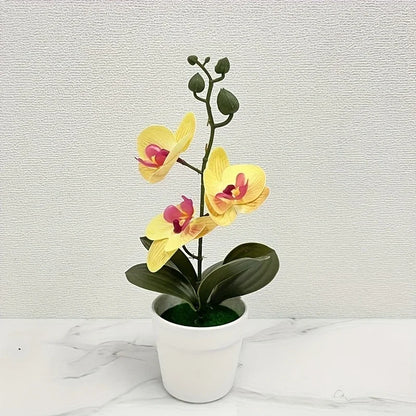 Artificial Orchid Bonsai | Realistic Flowers | Light-Resistant Table Decor for Living Room, Office & Entryway