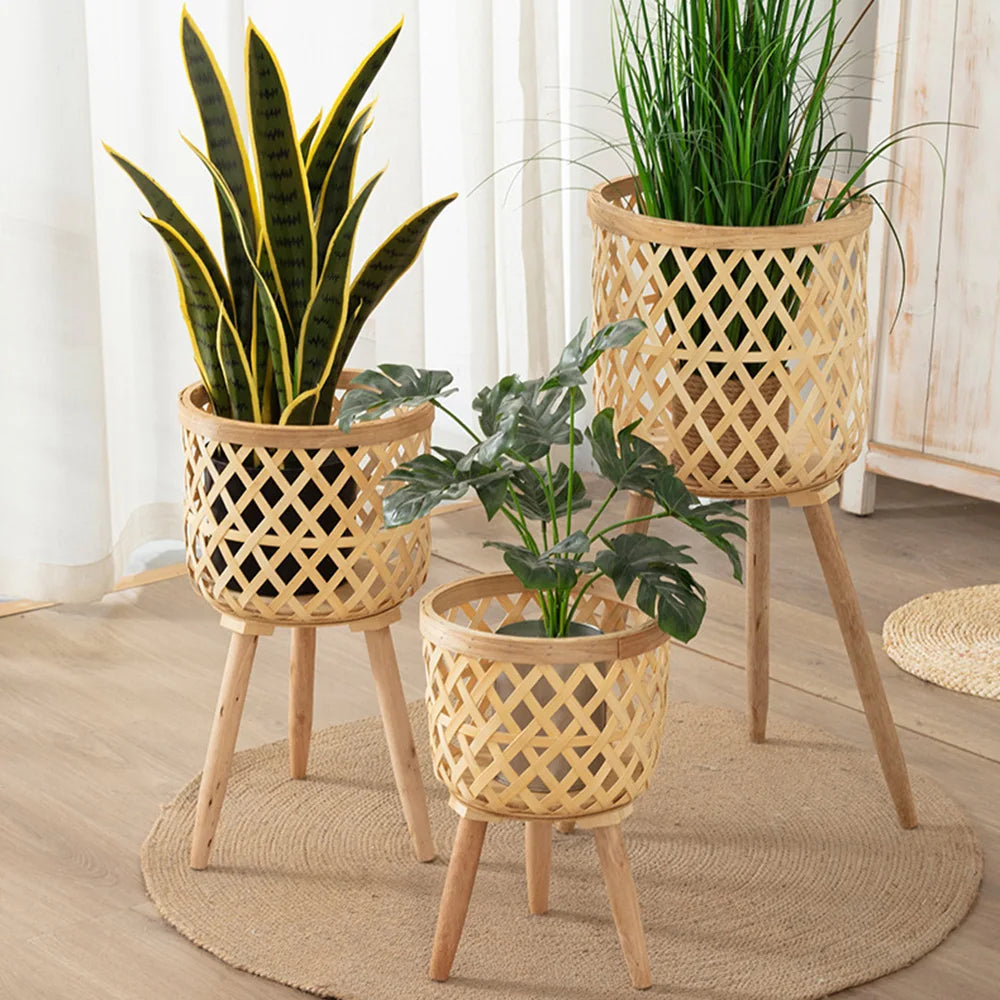 Display Stand for Stylish Plant Pots
