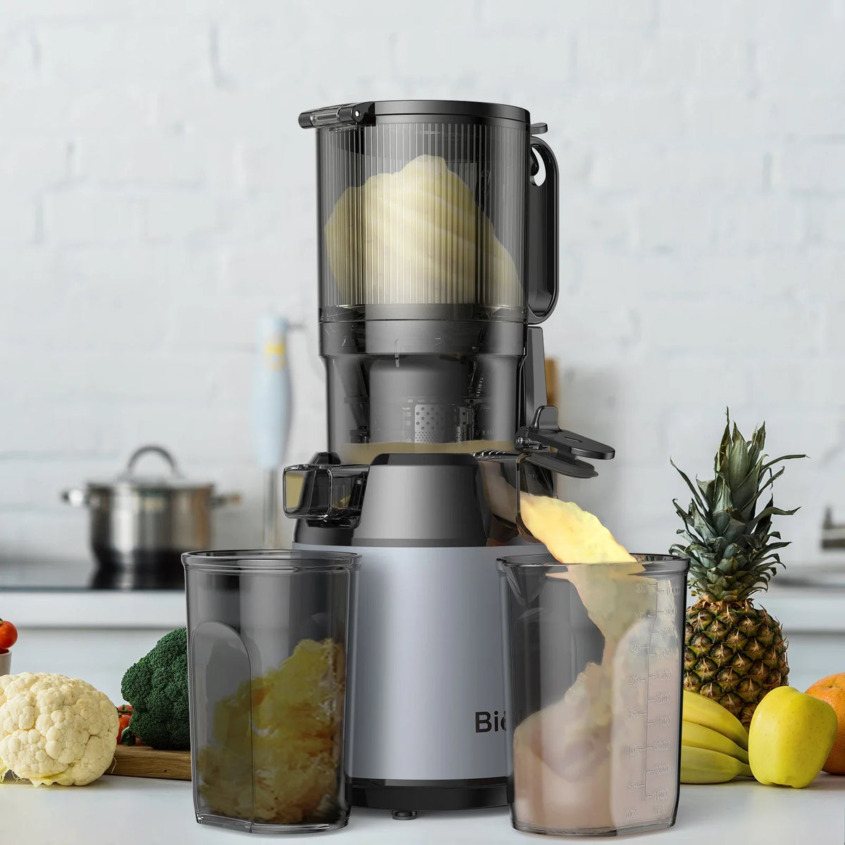 Slow Masticating Juicer with Wide Chute, Quiet Motor & Easy Clean Plug