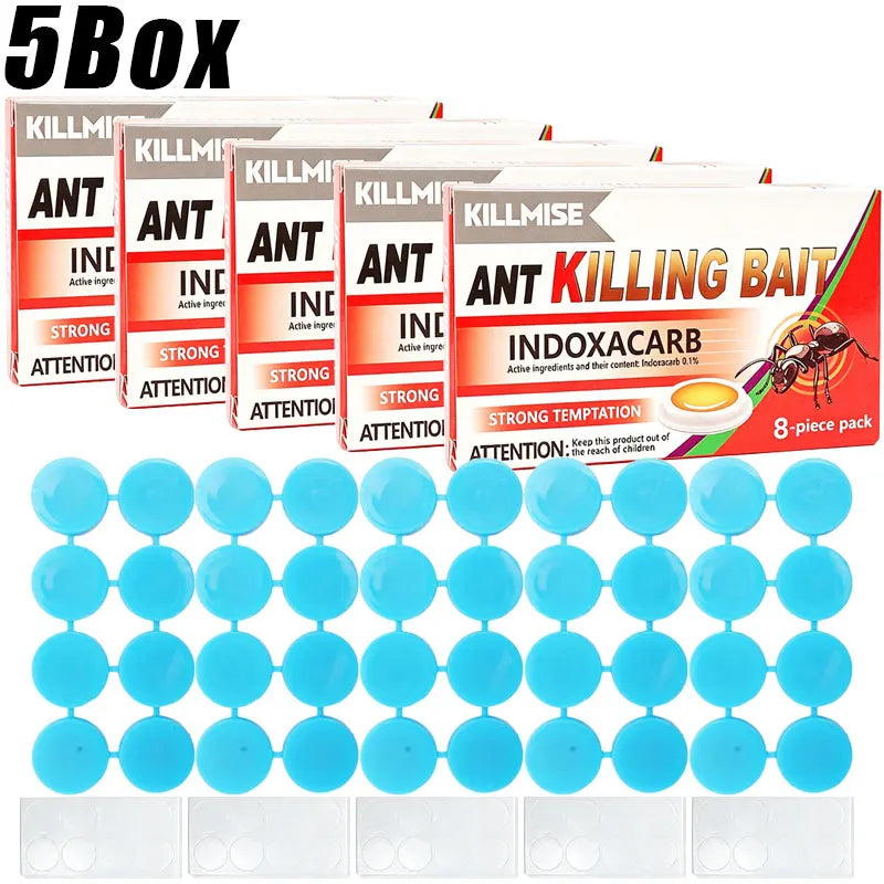 Effective Ant Control Solution for Home and Garden