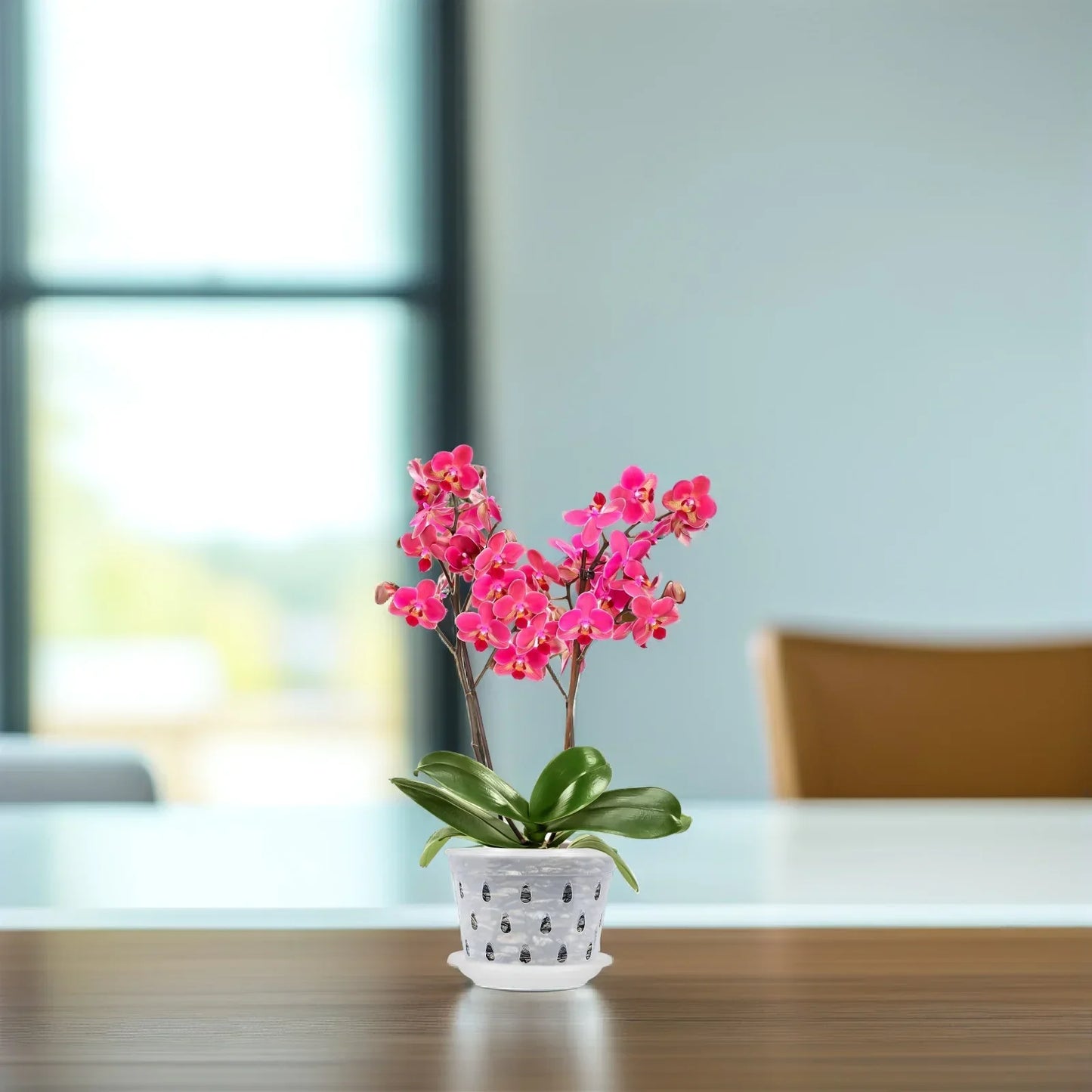 Set of 5 Transparent Orchid Flower Pots - Durable with Drainage Holes for Healthy Growth